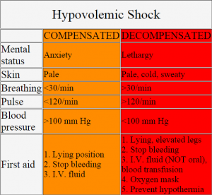 Hypovolemic Shock Pathophysiology, Symptoms, Signs, Treatment - eHealthStar