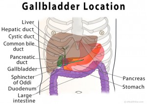 Gallbladder Pain Location Diagram, Symptoms, Causes, Relief - eHealthStar